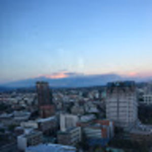 Meet your Posher, Isabella